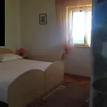 Ana+3 * Šibenik